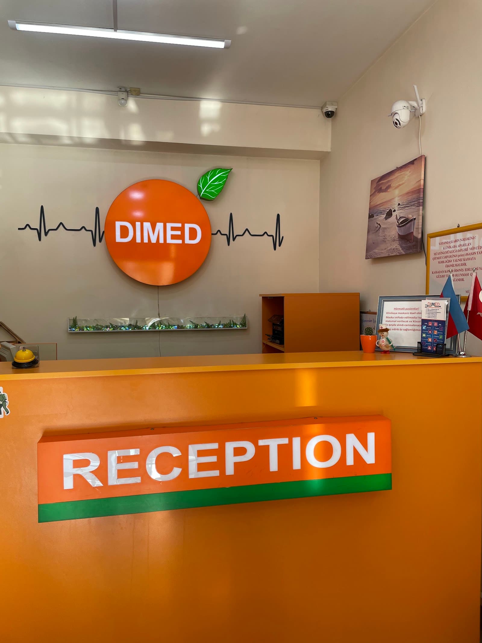 Dimed — şəkil 1