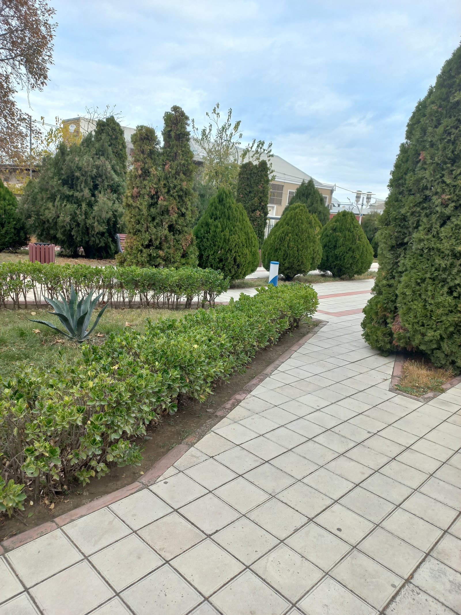Gəncə Müalicə Diaqnostika Mərkəzi — şəkil 1