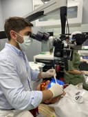 Dr. Saig Gahramanov